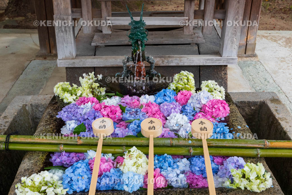 京都府　藤森神社　花手水