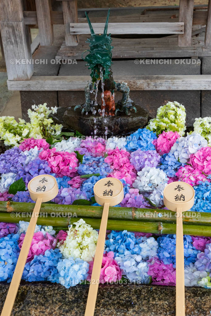 京都府　藤森神社　花手水