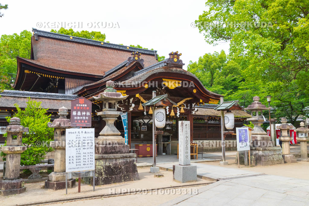 京都府　藤森神社　本殿