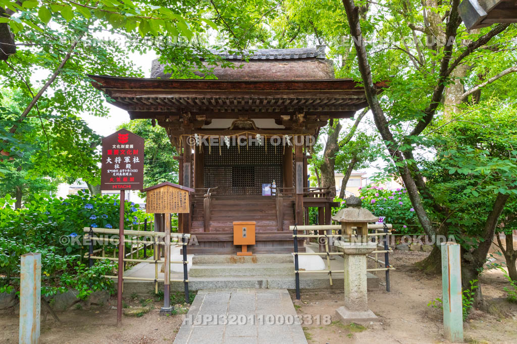 京都府　藤森神社　大将軍社