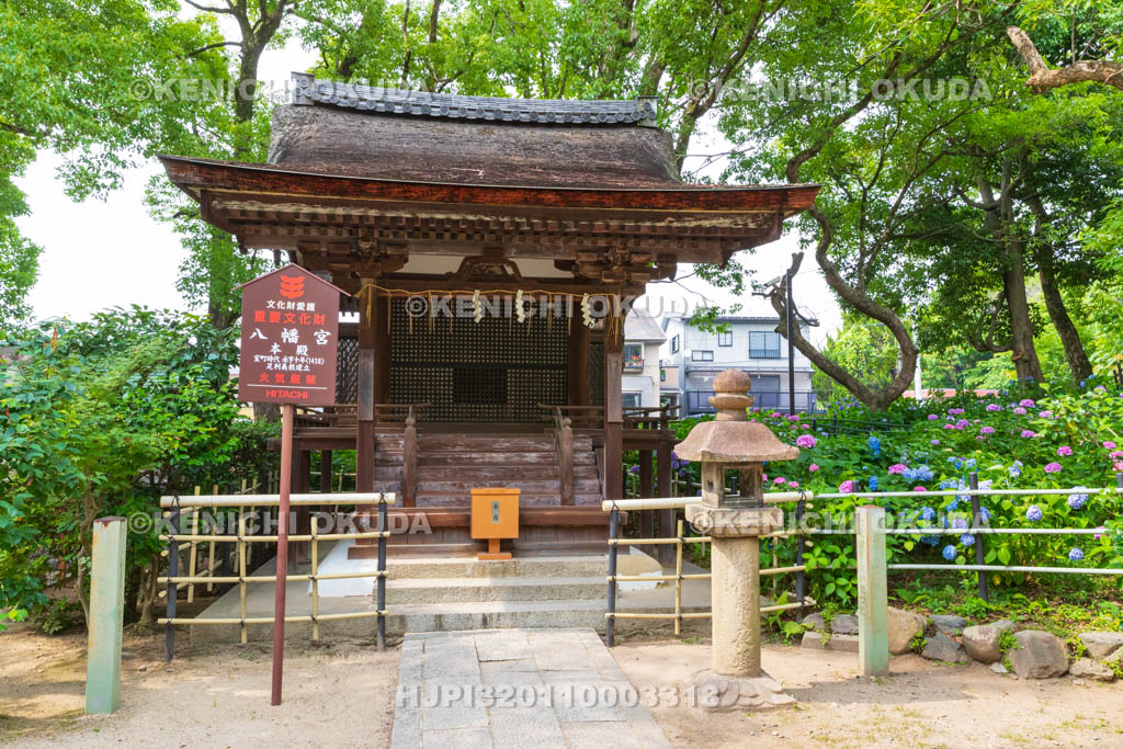 京都府　藤森神社　八幡宮社