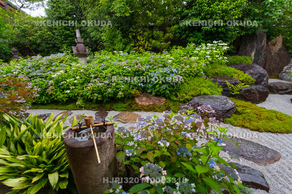 京都府　建仁寺塔頭　霊源院　甘露庭