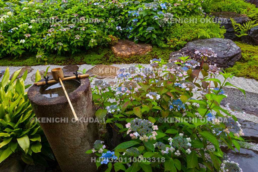 京都府　建仁寺塔頭　霊源院　甘露庭