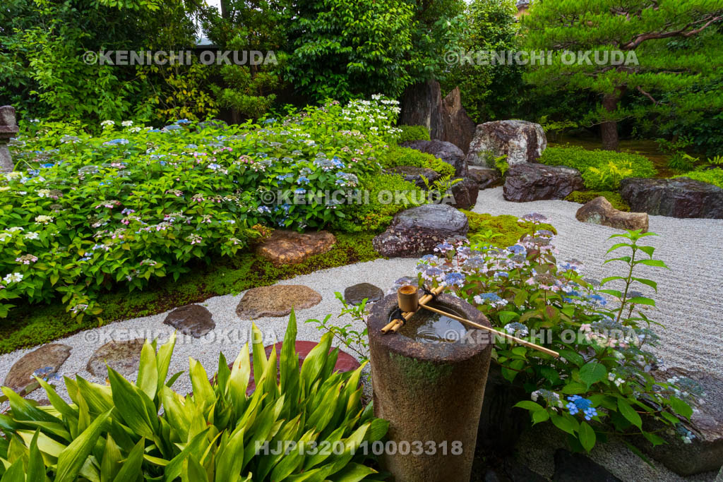 京都府　建仁寺塔頭　霊源院　甘露庭