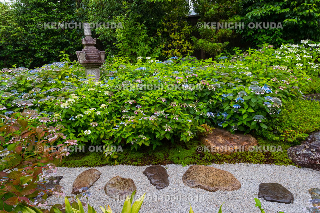 京都府　建仁寺塔頭　霊源院　甘露庭