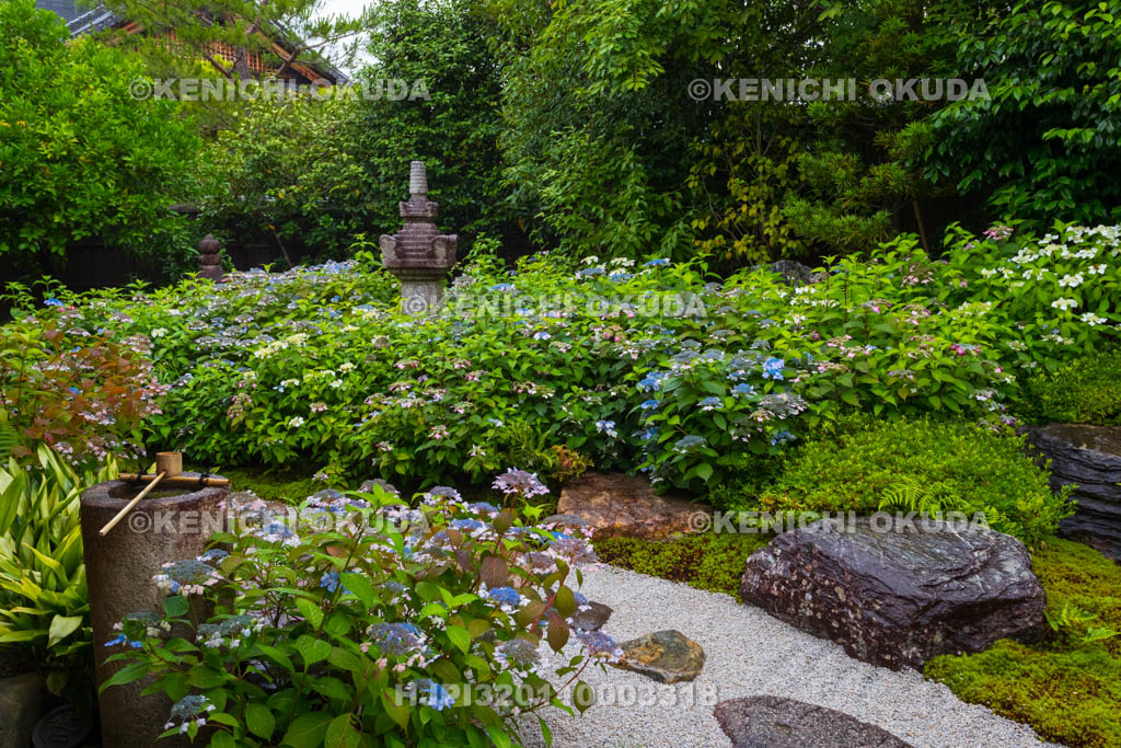 京都府　建仁寺塔頭　霊源院　甘露庭