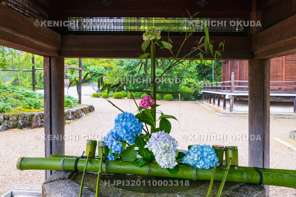 京都府　善峯寺　釈迦堂の花手水