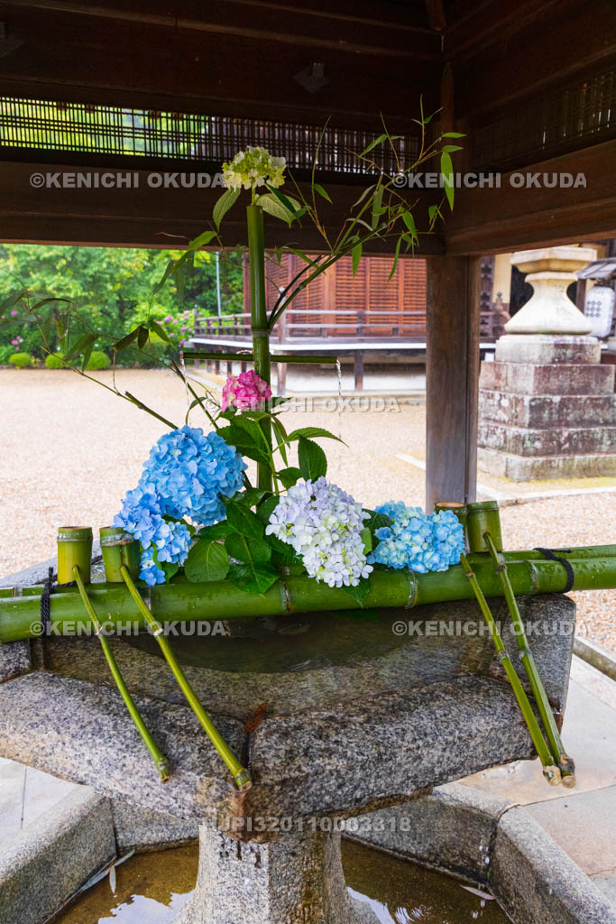京都府　善峯寺　釈迦堂の花手水