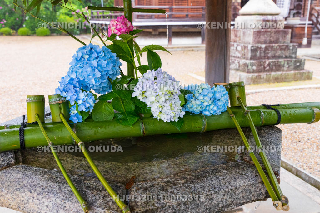 京都府　善峯寺　釈迦堂の花手水