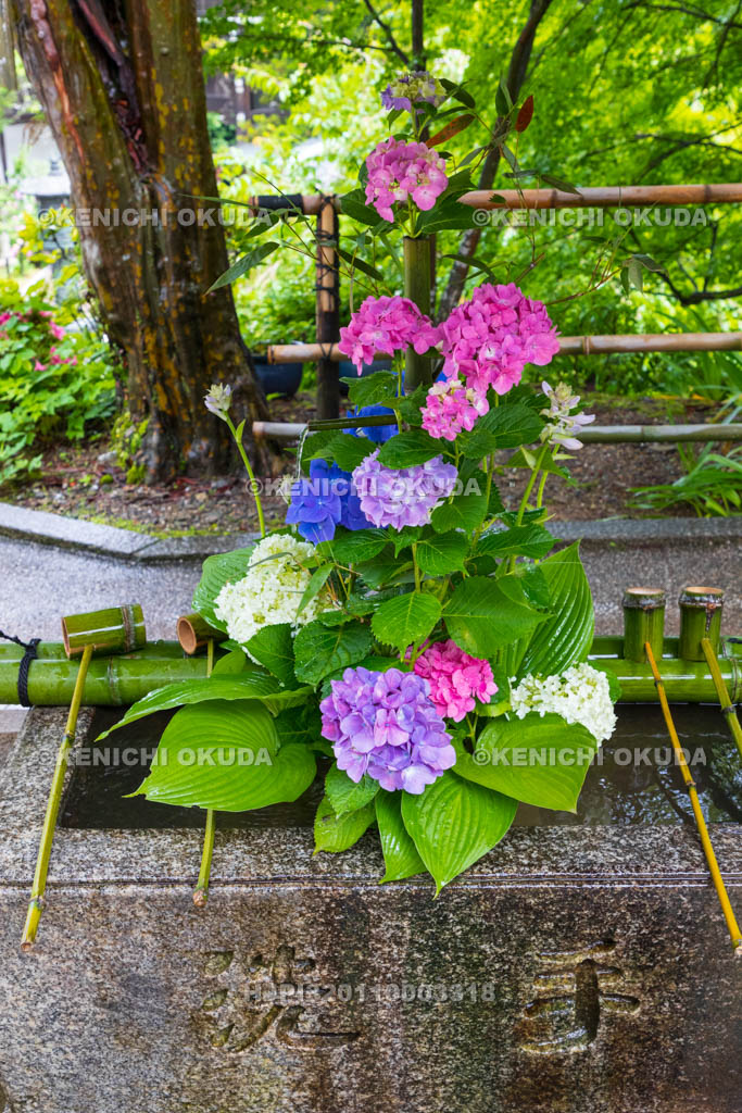 京都府　善峯寺　花手水