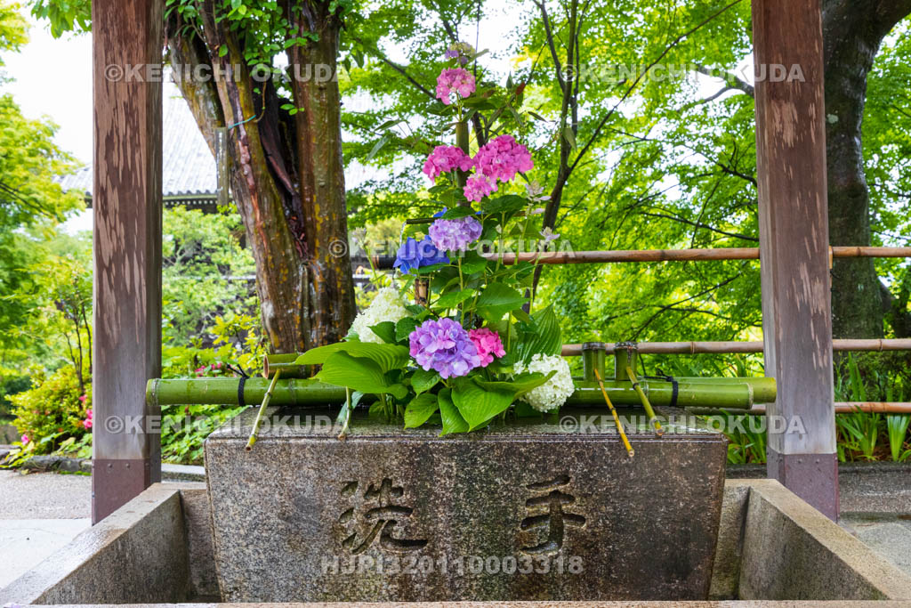 京都府　善峯寺　花手水
