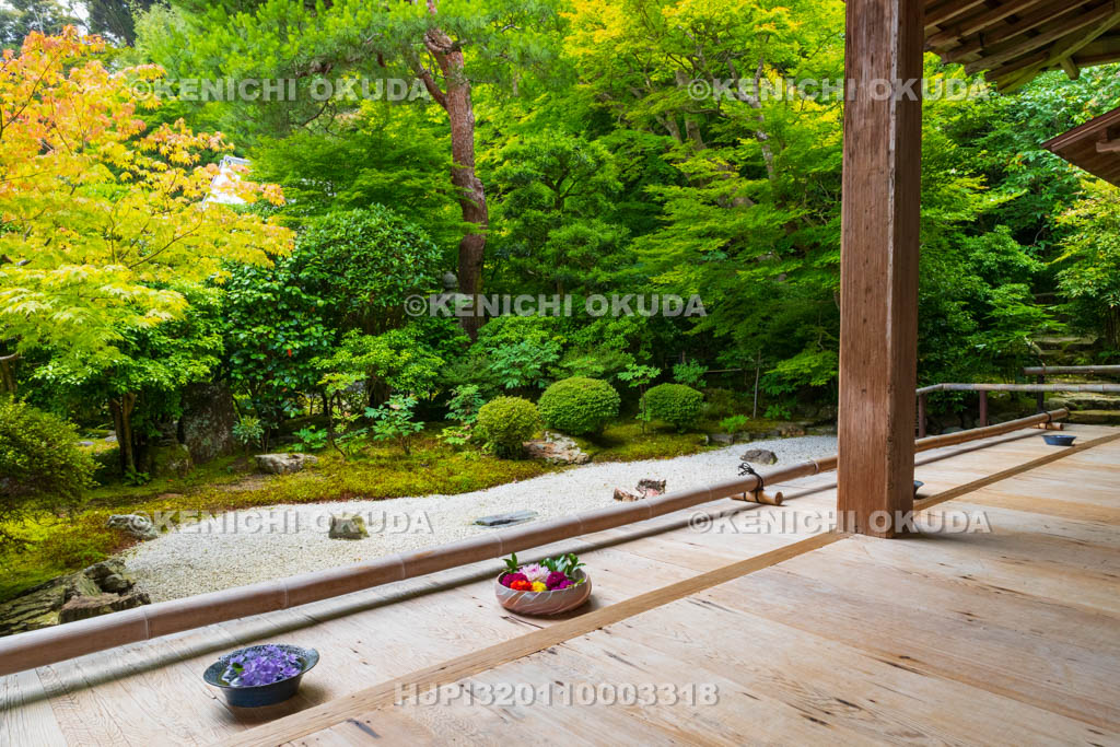 京都府　嵯峨野　二尊院　六道六地蔵の庭