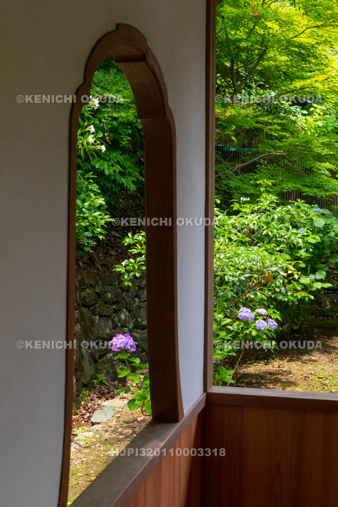 京都府 嵯峨野 二尊院 本堂火灯窓とアジサイ