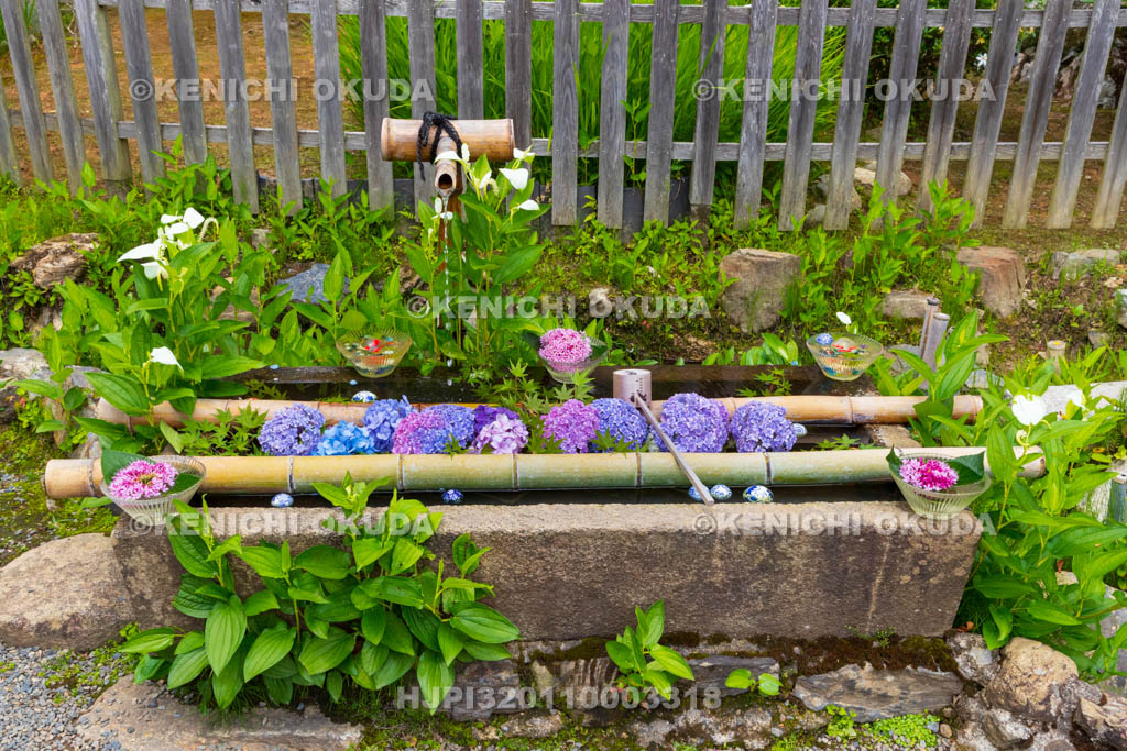 京都府　嵯峨野　二尊院　花手水