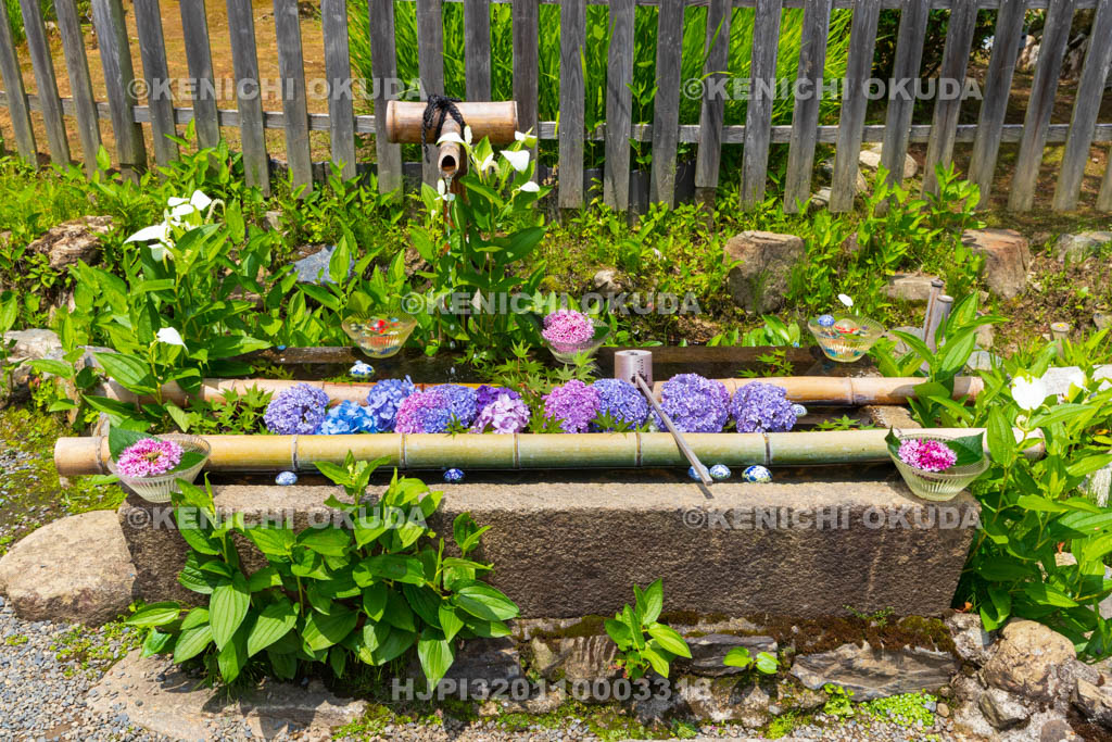 京都府　嵯峨野　二尊院　花手水