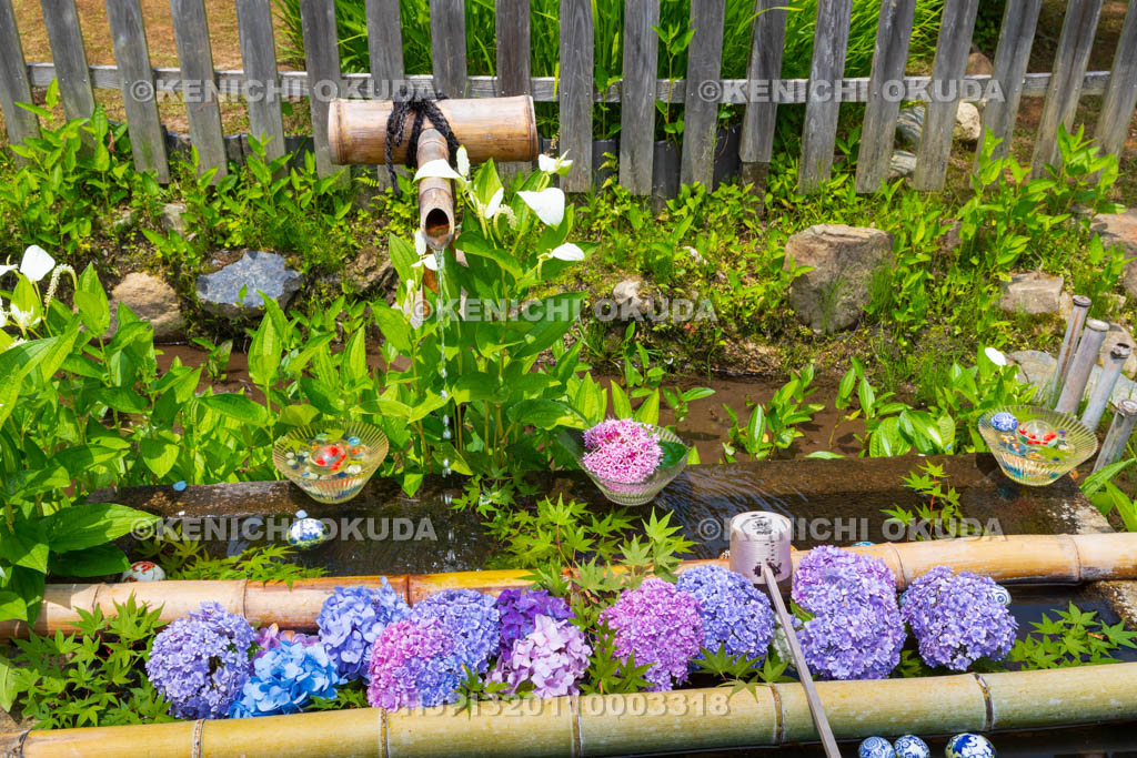 京都府　嵯峨野　二尊院　花手水