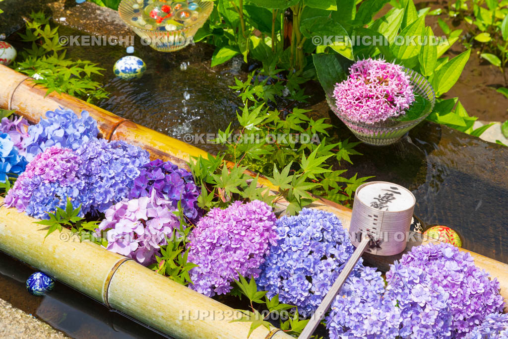 京都府 嵯峨野 二尊院 花手水