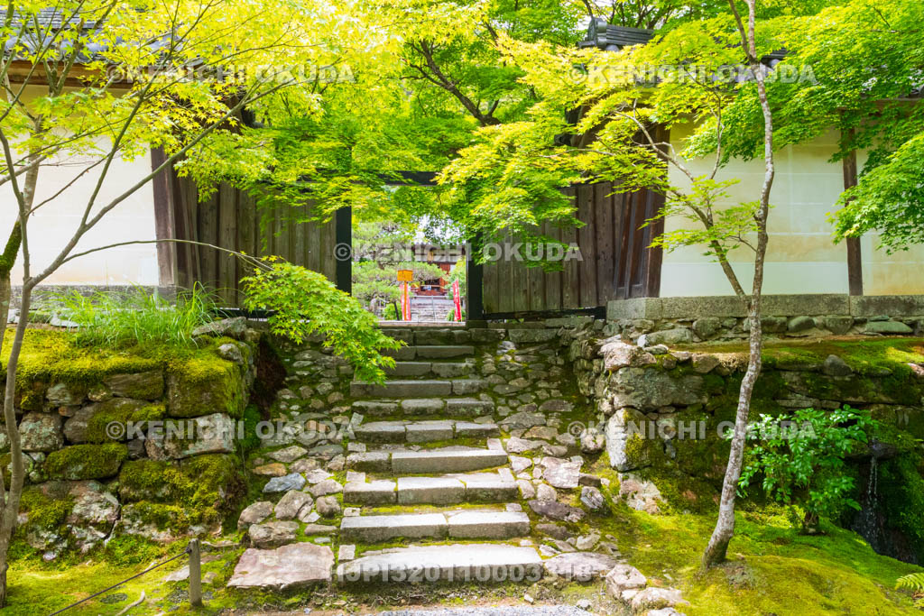 京都府　嵯峨野　二尊院　黒門