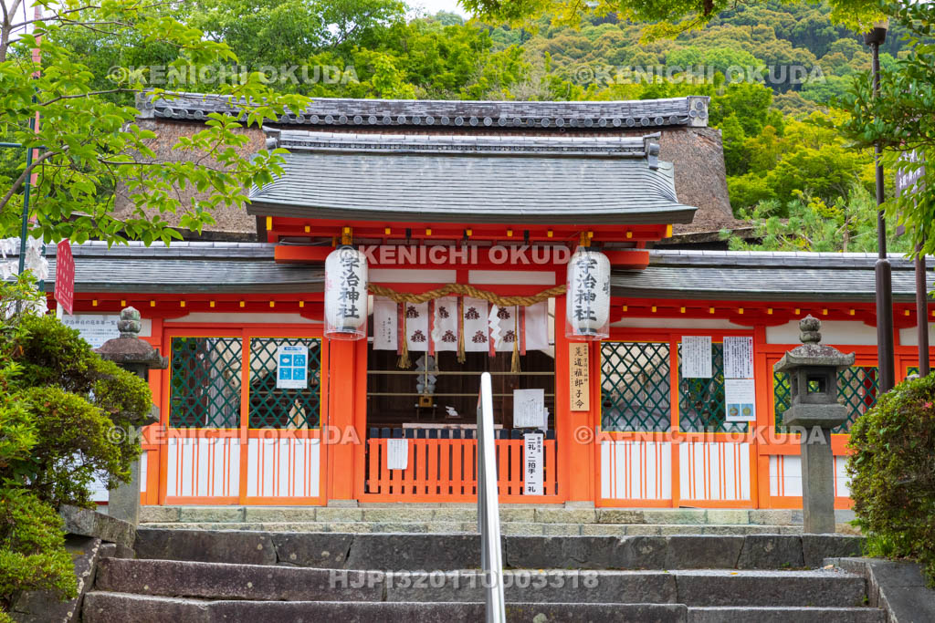 京都府　宇治神社　中門