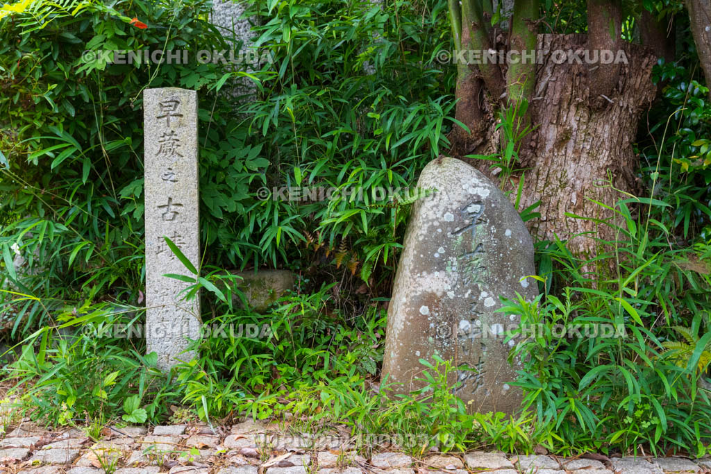 京都府　さわらびの道　早蕨之古蹟
