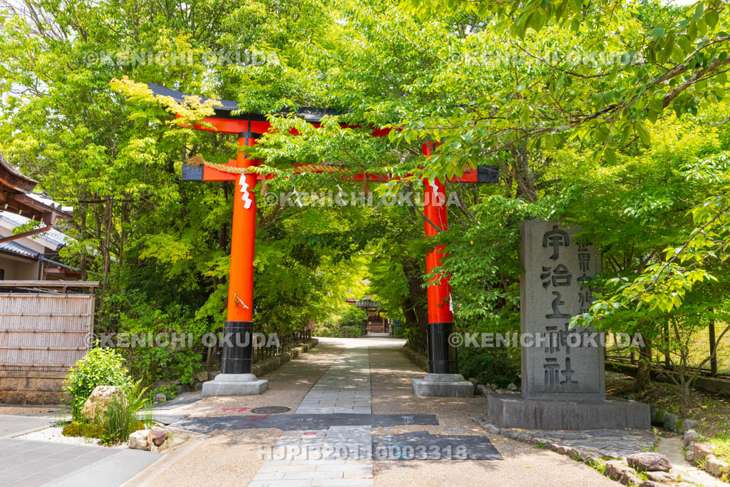 京都府　宇治上神社　参道