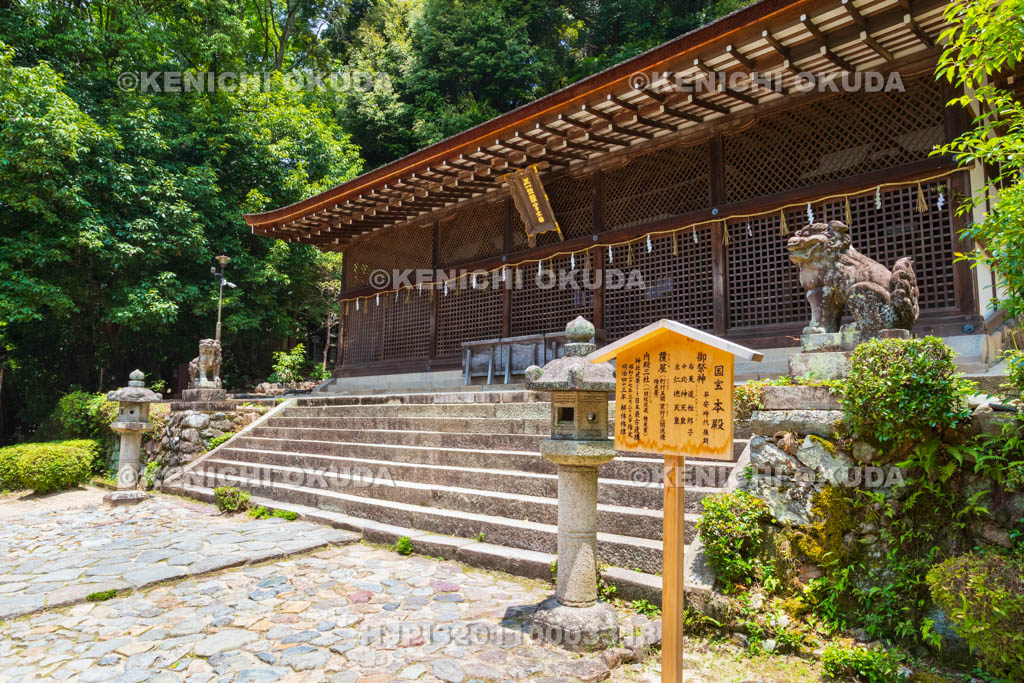 京都府　宇治上神社　本殿（国宝）