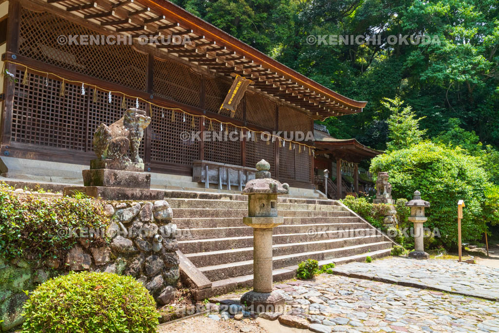 京都府　宇治上神社　本殿（国宝）