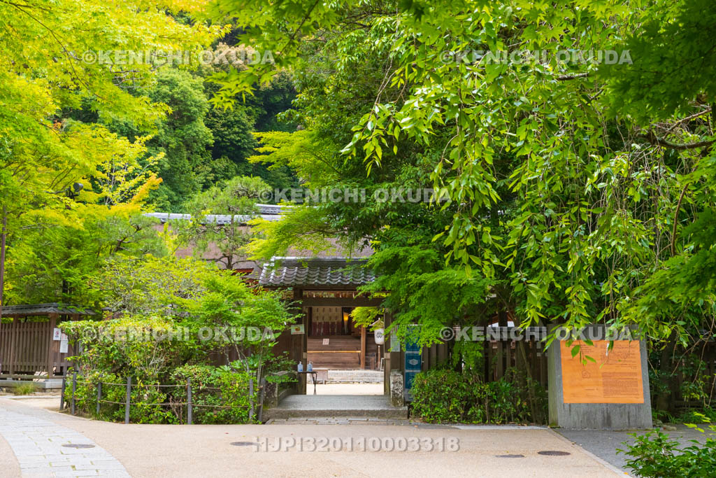 京都府　宇治上神社　正門