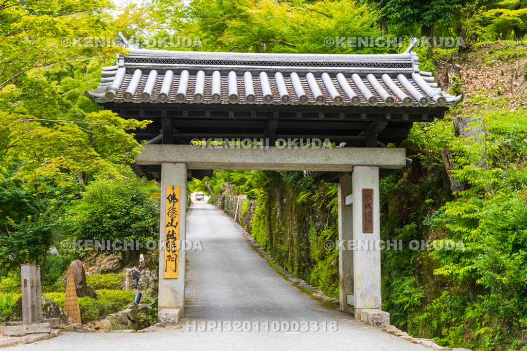 京都府　宇治市　興聖寺　石門（総門）と琴坂