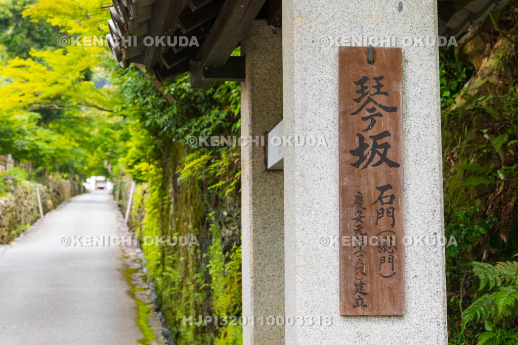 京都府　宇治市　興聖寺　琴坂