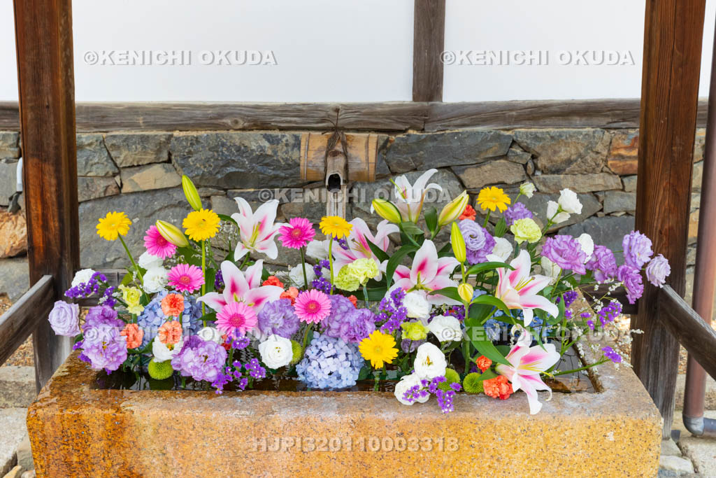 京都府　宇治市　興聖寺　花手水