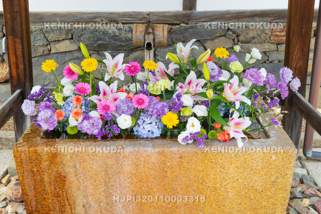 京都府　宇治市　興聖寺　花手水