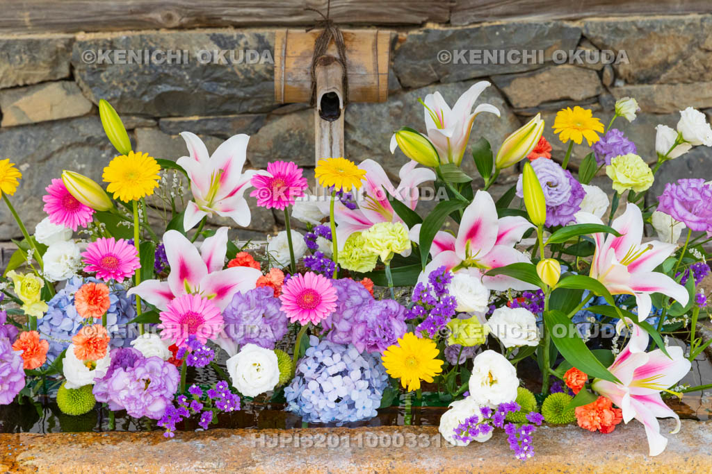 京都府　宇治市　興聖寺　花手水