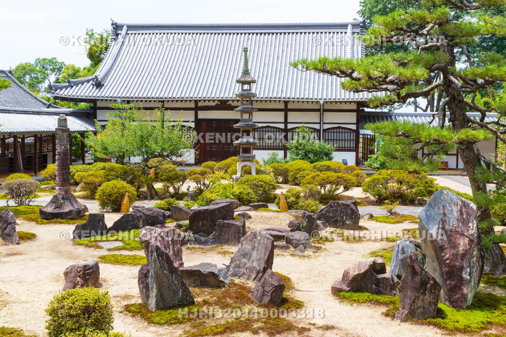 京都府　宇治市　興聖寺　庭園（法堂前）と僧堂