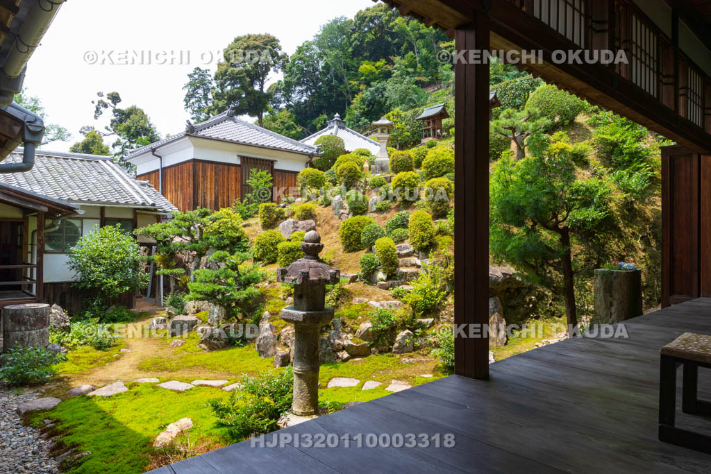京都府　宇治市　興聖寺　大書院から望む庭園（本堂裏）