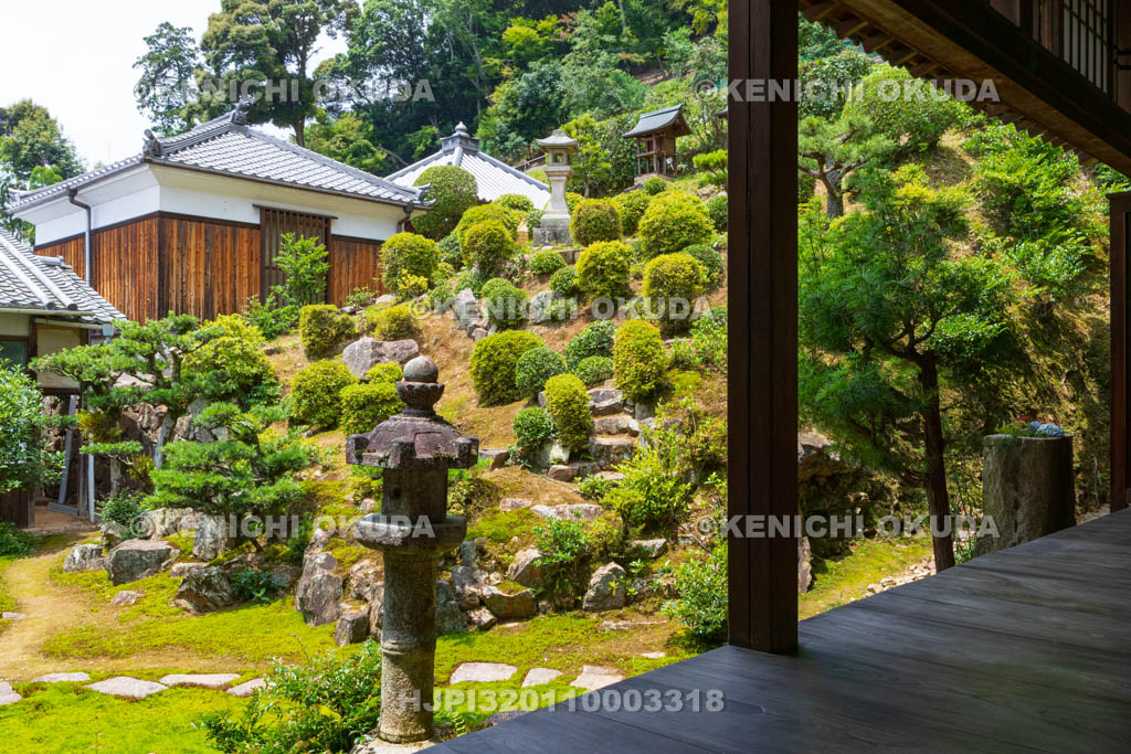 京都府 宇治市 興聖寺 大書院から望む庭園(本堂裏)