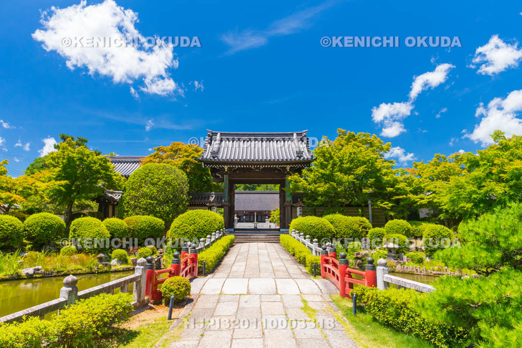 京都府　妙満寺　参道と山門