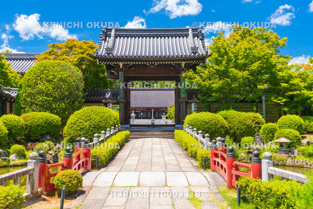 京都府　妙満寺　参道と山門