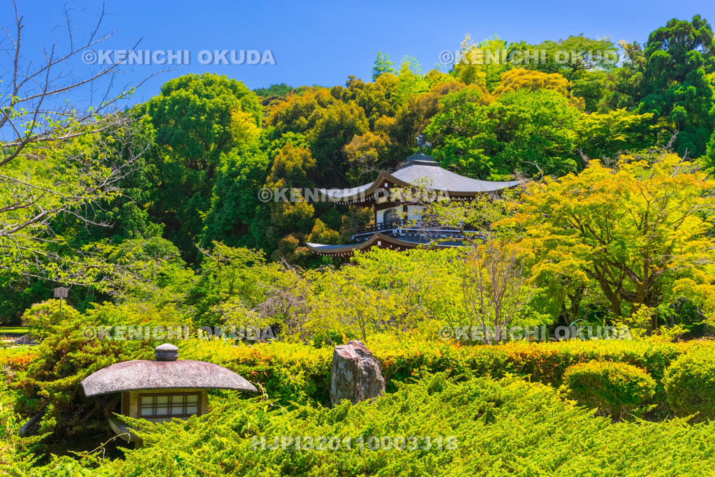 京都府　勧修寺（かじゅうじ）　勧修寺型灯篭と観音堂