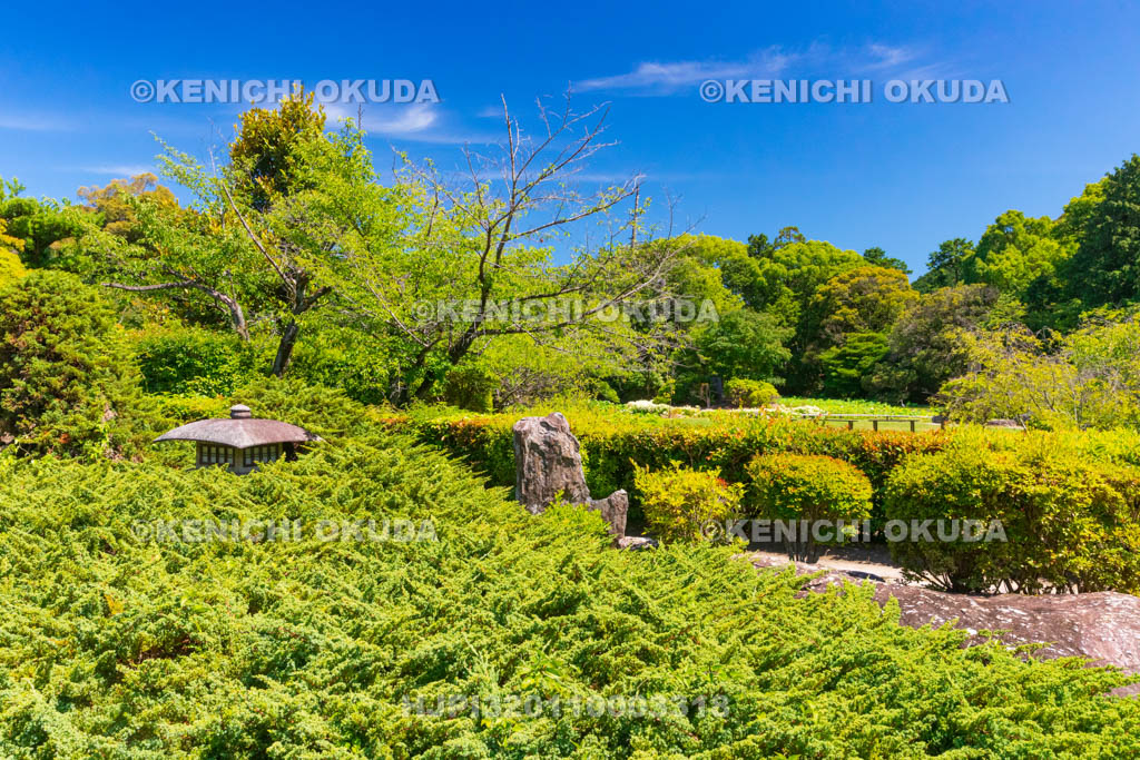 京都府 勧修寺(かじゅうじ) 書院南庭