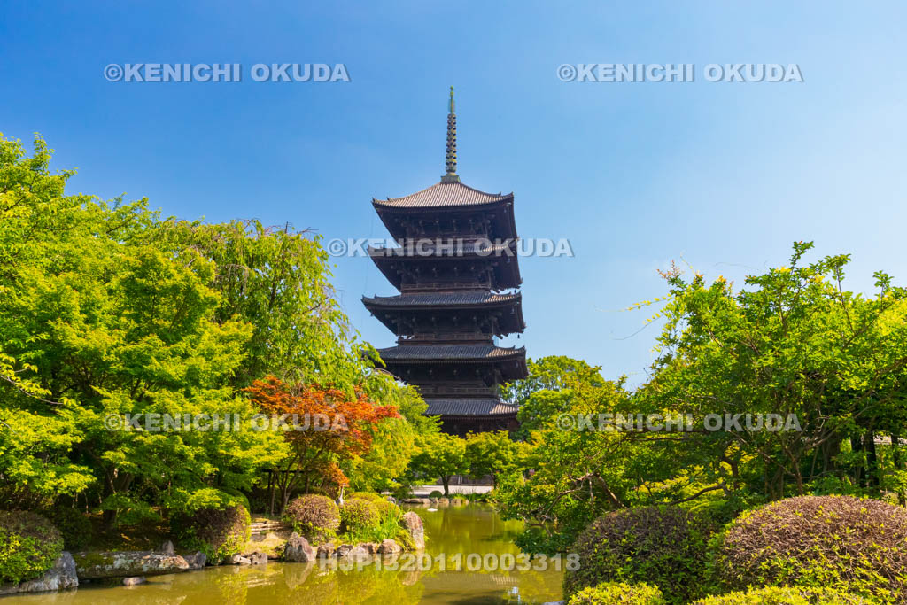 京都府　東寺　瓢箪池と五重塔