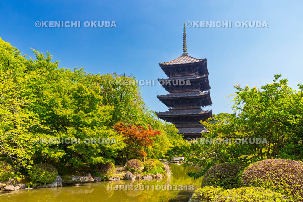 京都府　東寺　瓢箪池と五重塔