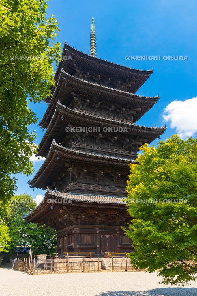 京都府　東寺　五重塔