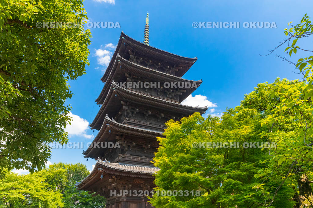 京都府　東寺　五重塔