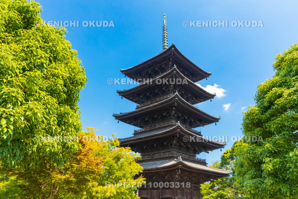 京都府　東寺　五重塔