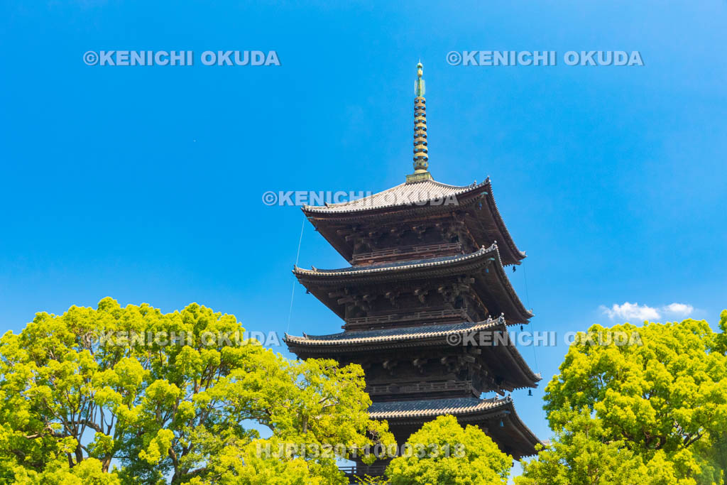 京都府　東寺　五重塔