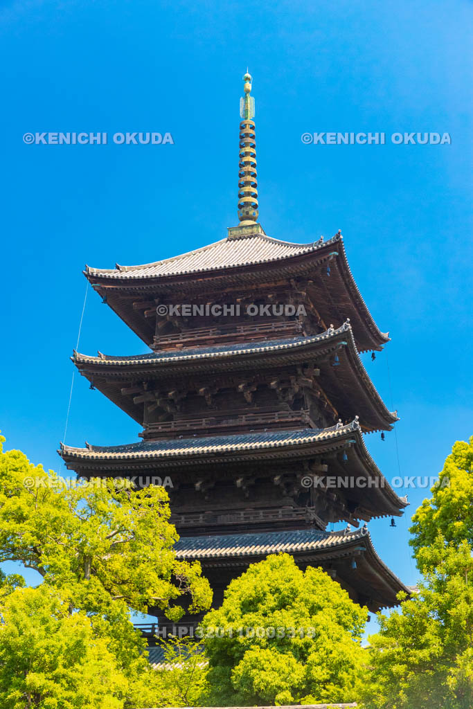 京都府　東寺　五重塔