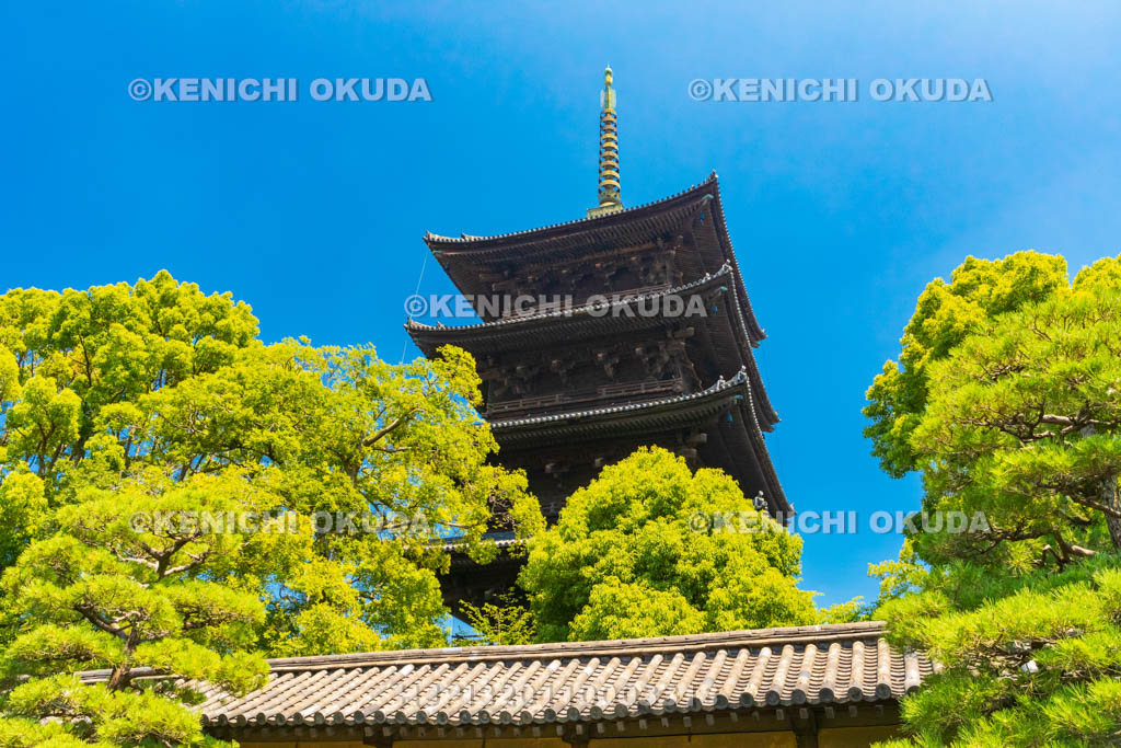 京都府　東寺　五重塔