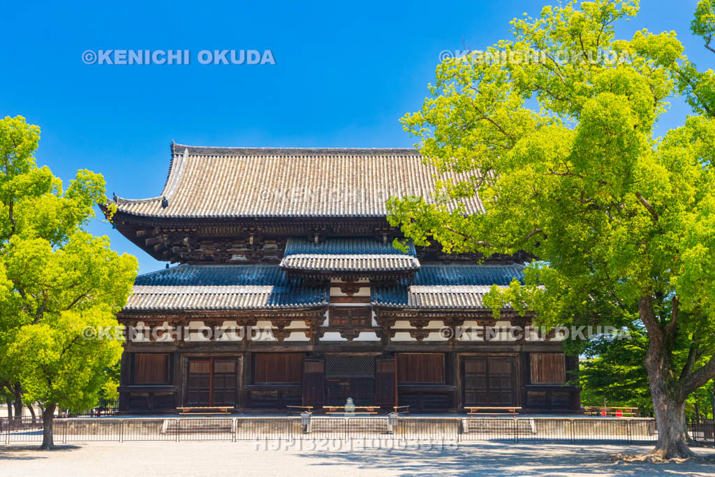 京都府　東寺　金堂