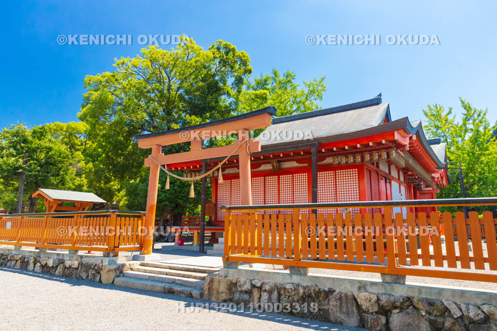 京都府　東寺　鎮守八幡宮